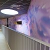 IMG_8786