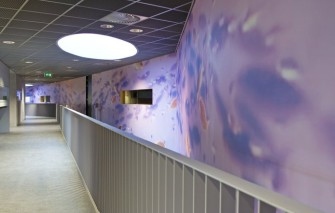 IMG_8786_1
