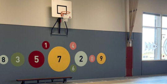 De Pulastic Soundwall Gouda met op maat bedrukte ASM patronen in de sportzaal van Scholengemeenschap Westergouwe.